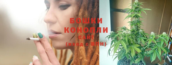 мдма Ельня
