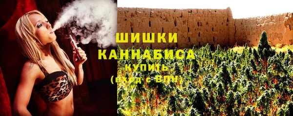 стаф Елабуга