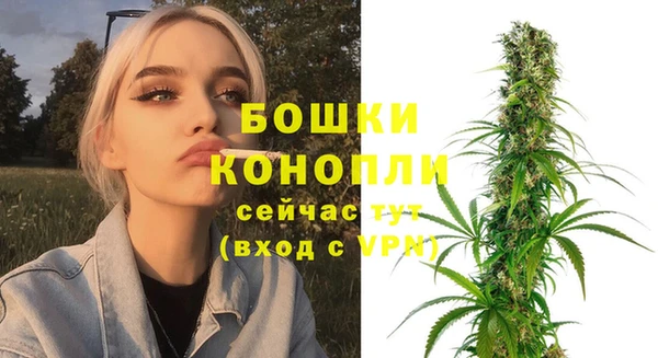 стаф Елабуга