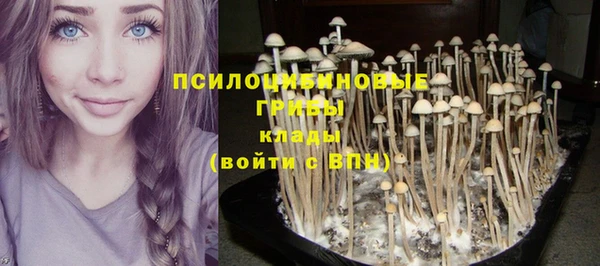 стаф Елабуга