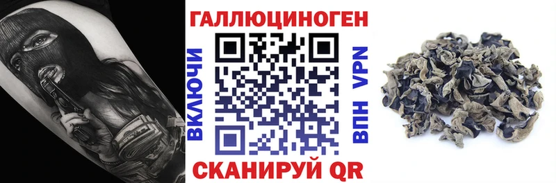 магазин продажи наркотиков  Зеленодольск  Псилоцибиновые грибы Magic Shrooms 