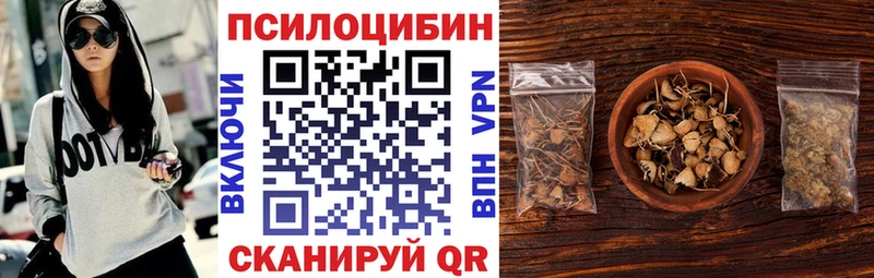 Псилоцибиновые грибы мицелий Зеленодольск