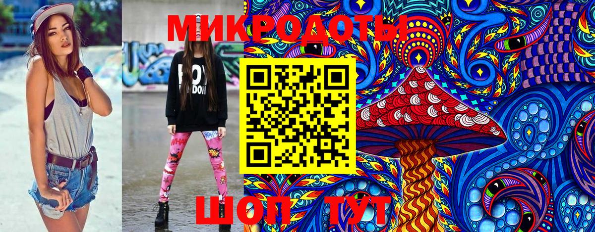 Псилоцибиновые грибы Psilocybe Зеленодольск
