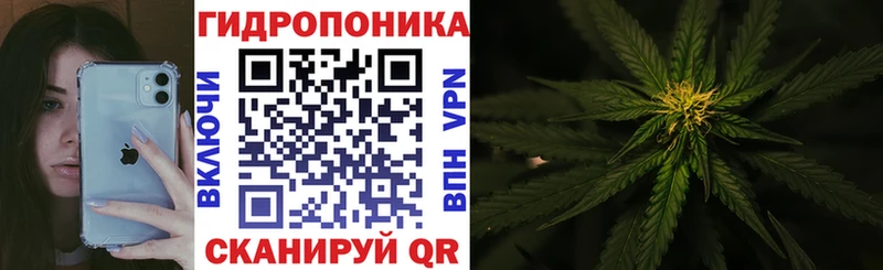 Бошки марихуана сатива Зеленодольск